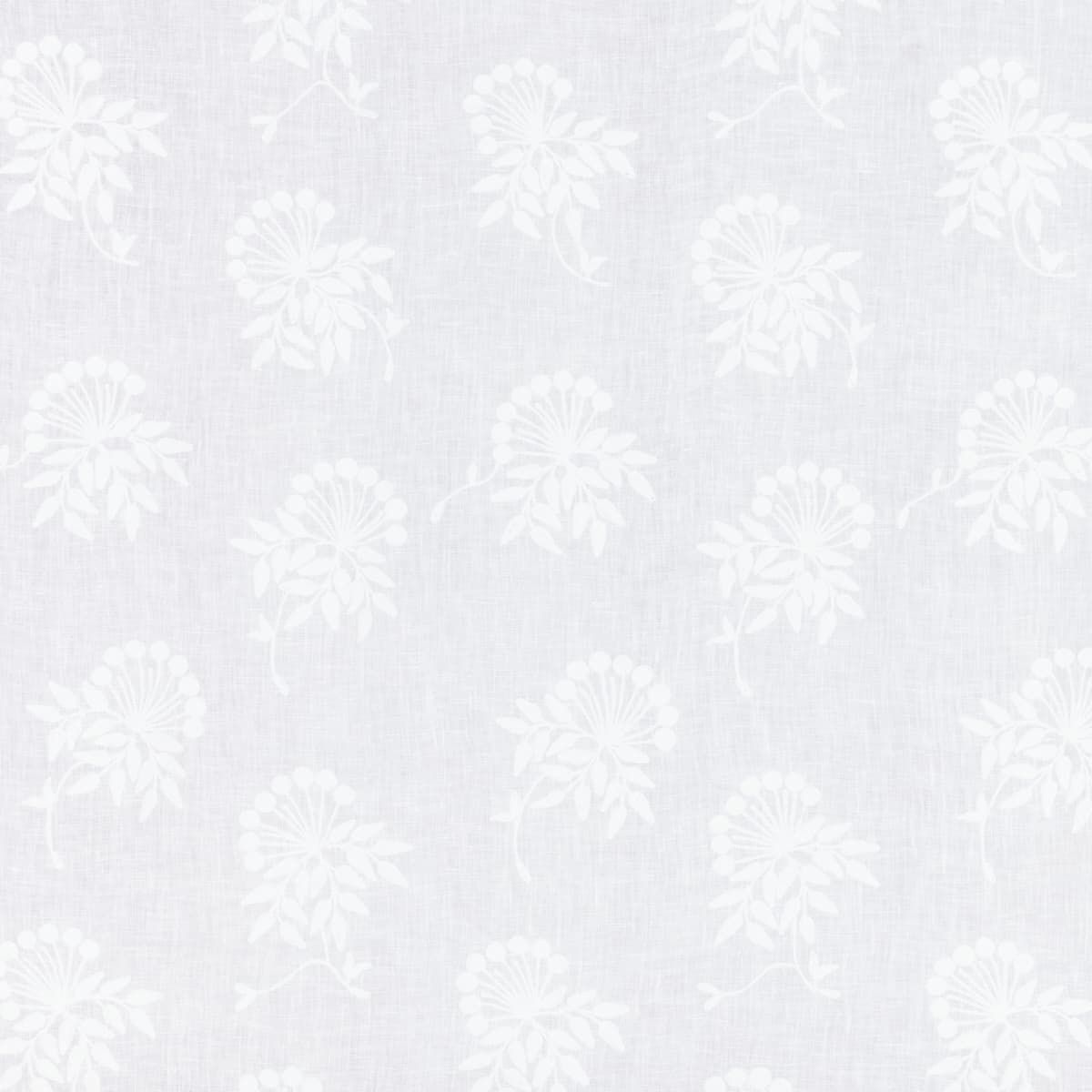 Ana - WHITE