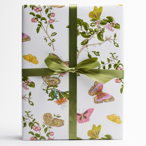Baudin Butterfly Wrapping Paper - BLUSH