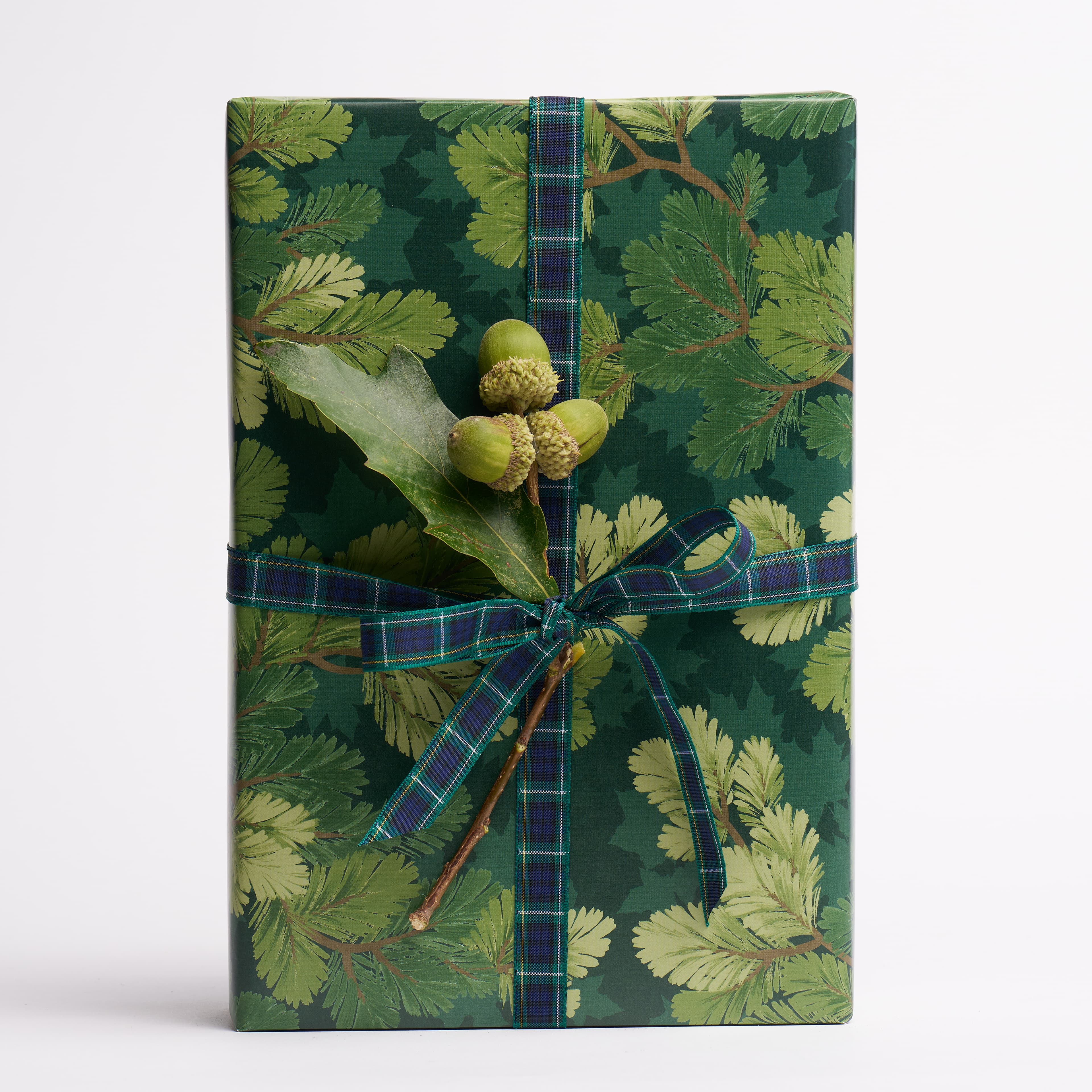 Covey Hedge Wrapping Paper - FOREST