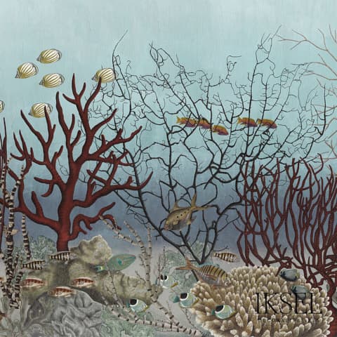 D-ocean Still Life - GOUACHE