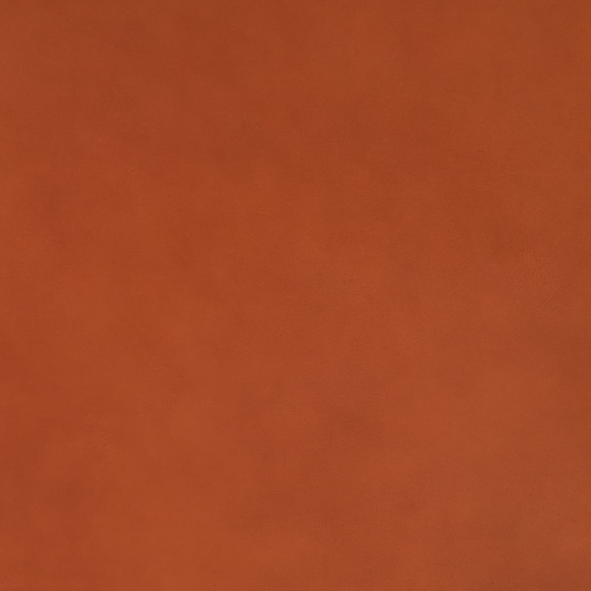 IGER - HAZELNUT