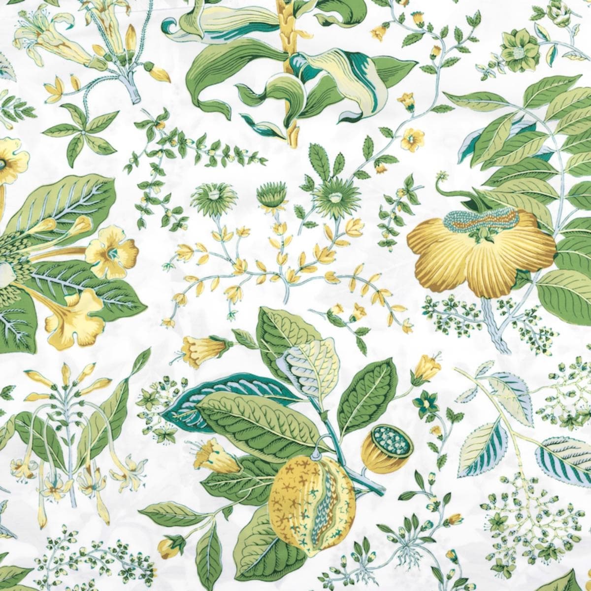 Pomegranate Bedding Memo - CITRUS