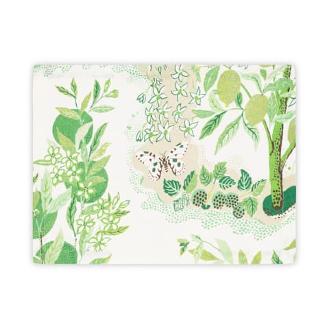 Citrus Garden Placemat, Set of 4 - GRASS