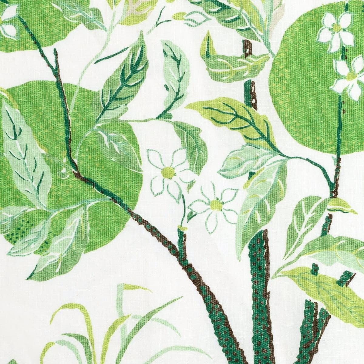 Citrus Garden Table Linen Memo - GRASS