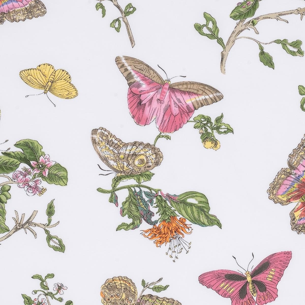 Baudin Butterfly Bedding Memo - PINK