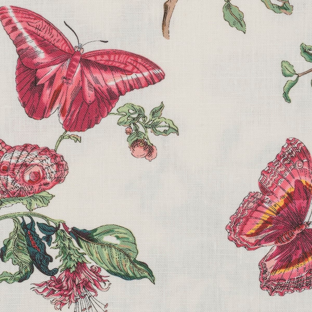 Baudin Butterfly Table Linen Memo - RUBY