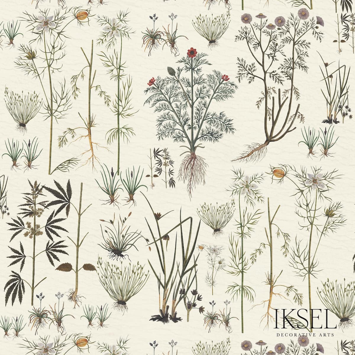 HERBIER - WHITE