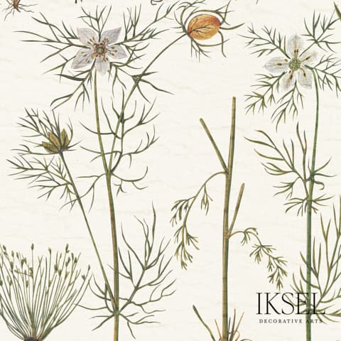 HERBIER - WHITE