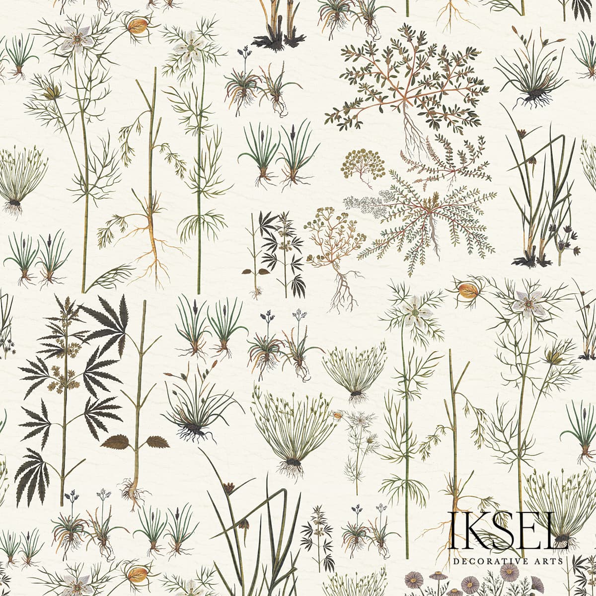HERBIER - WHITE
