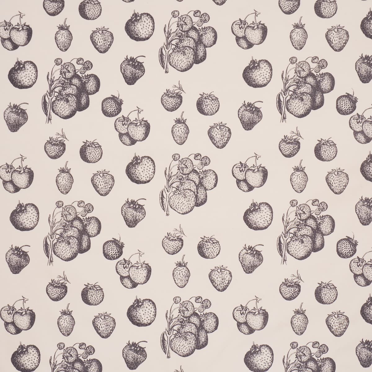 STRAWBERRY FIELDS - GRAPHITE