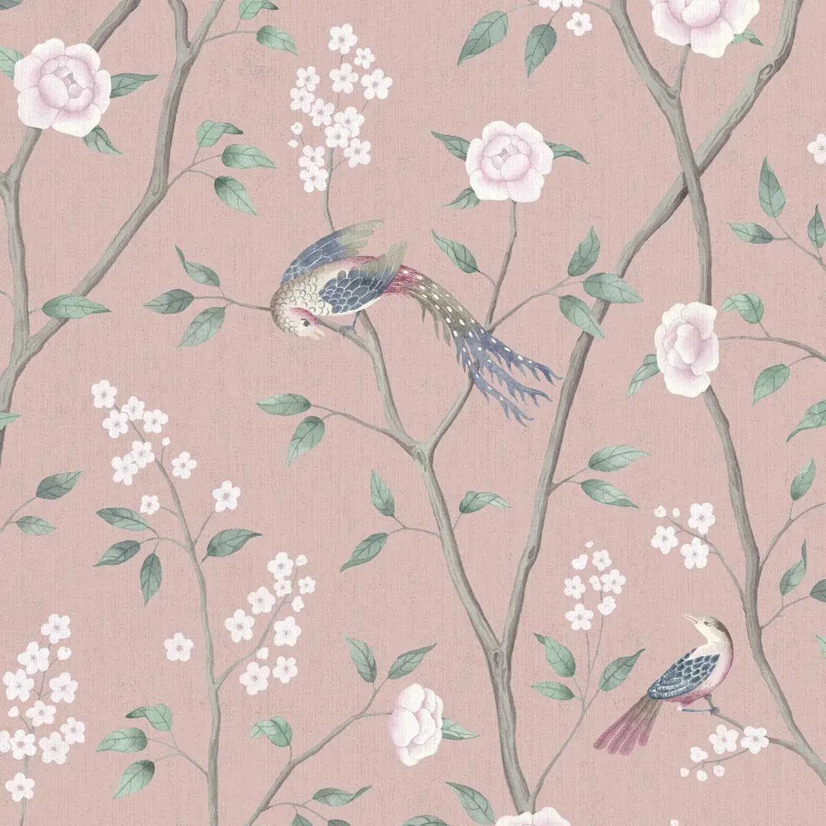 PARADISE BIRDS_ BLUSH SHIMMER