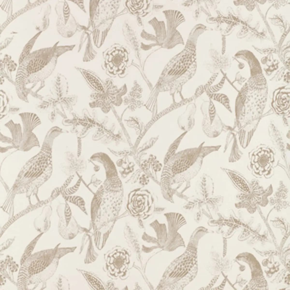KATMANDU_ BEIGE
