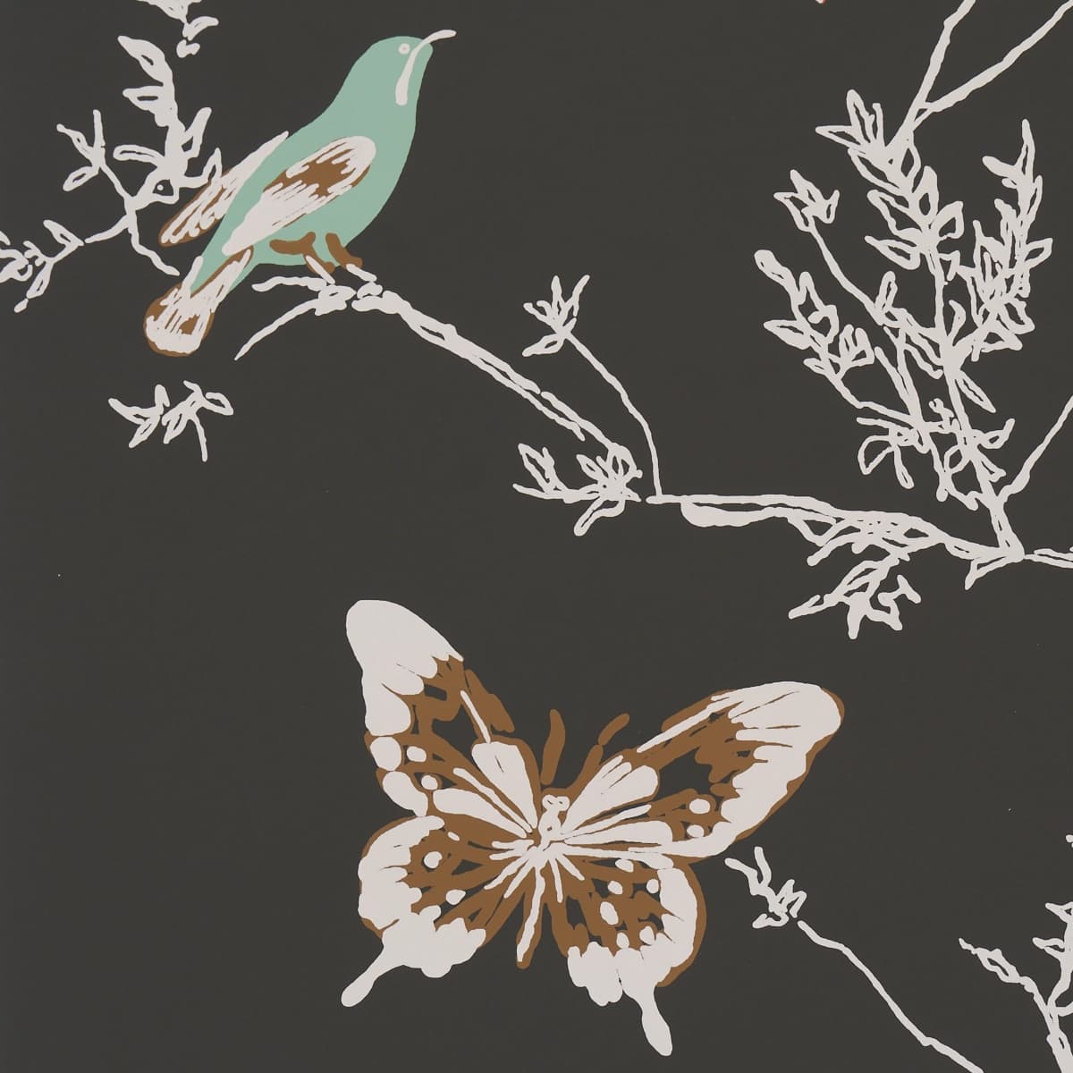 BIRDS & BUTTERFLIES_ GRAPHITE