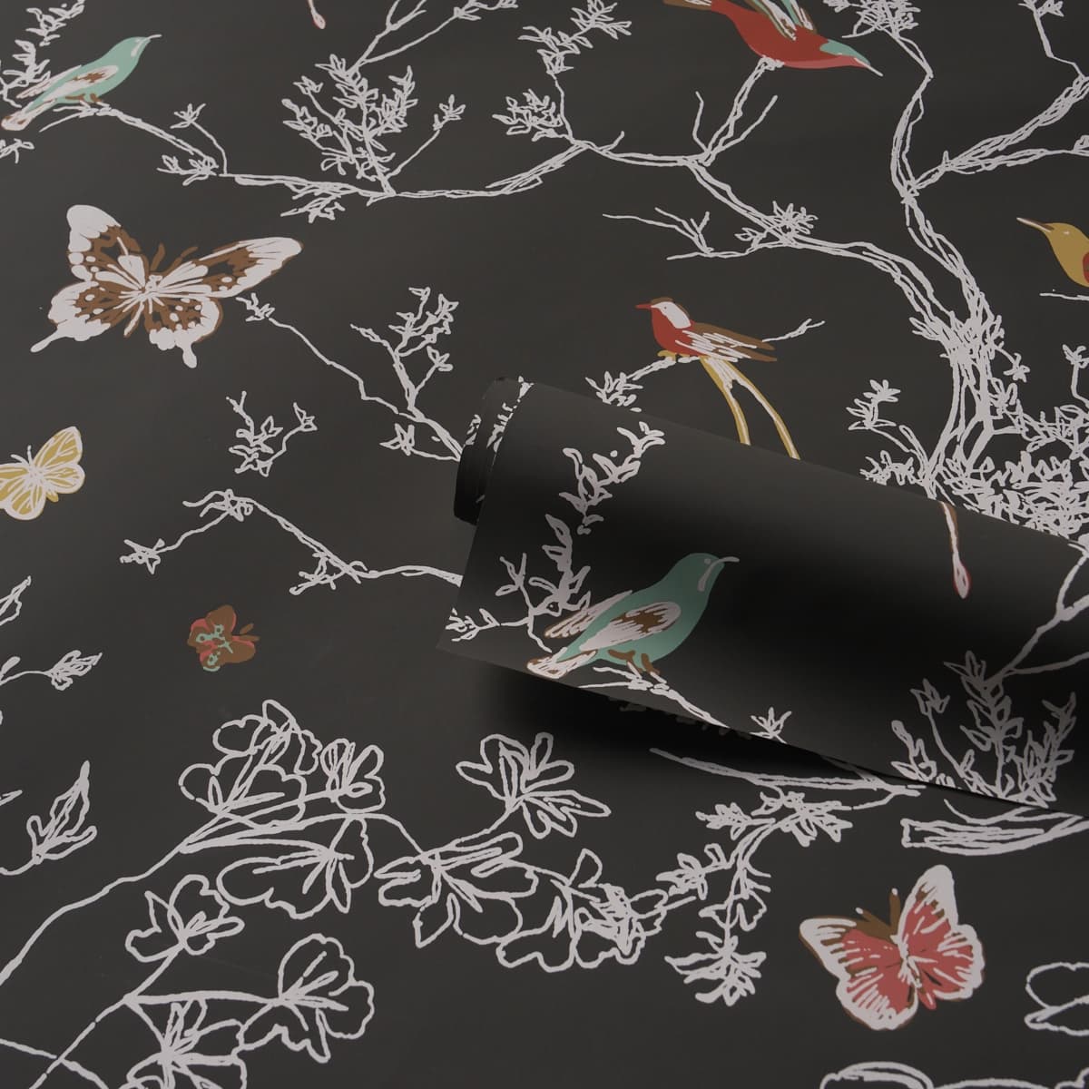 BIRDS & BUTTERFLIES_ GRAPHITE
