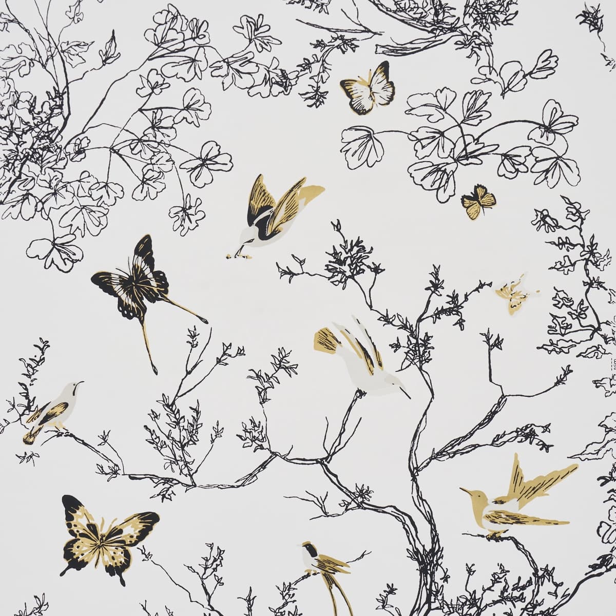 Birds & Butterflies_ BLACK & GOLD