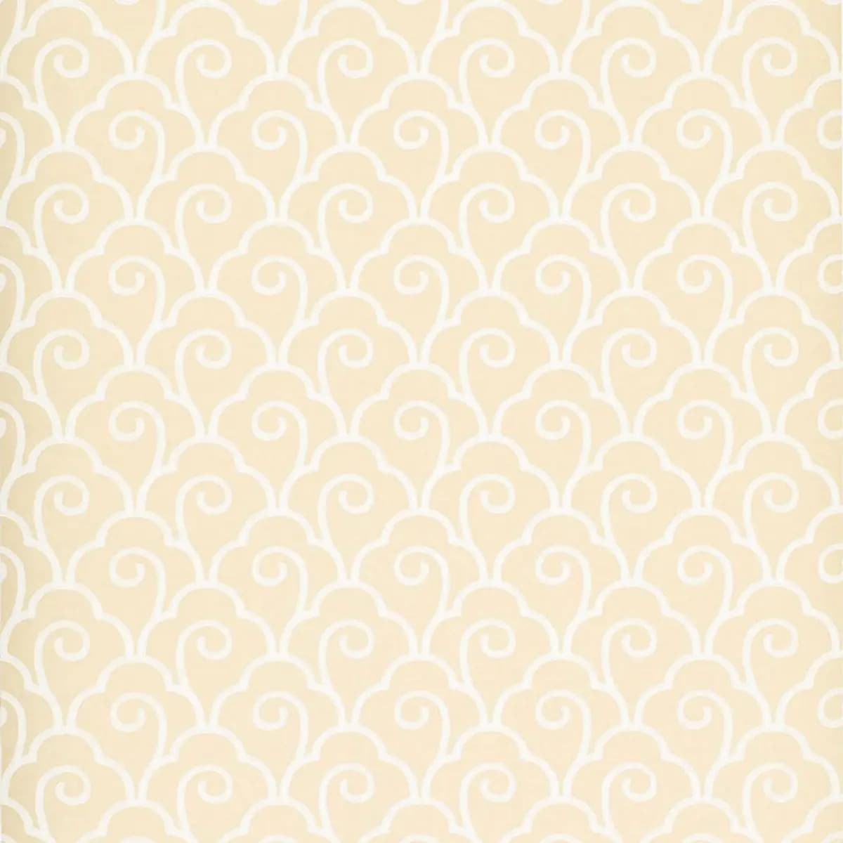 SCALLOP FILIGREE_ CREAM