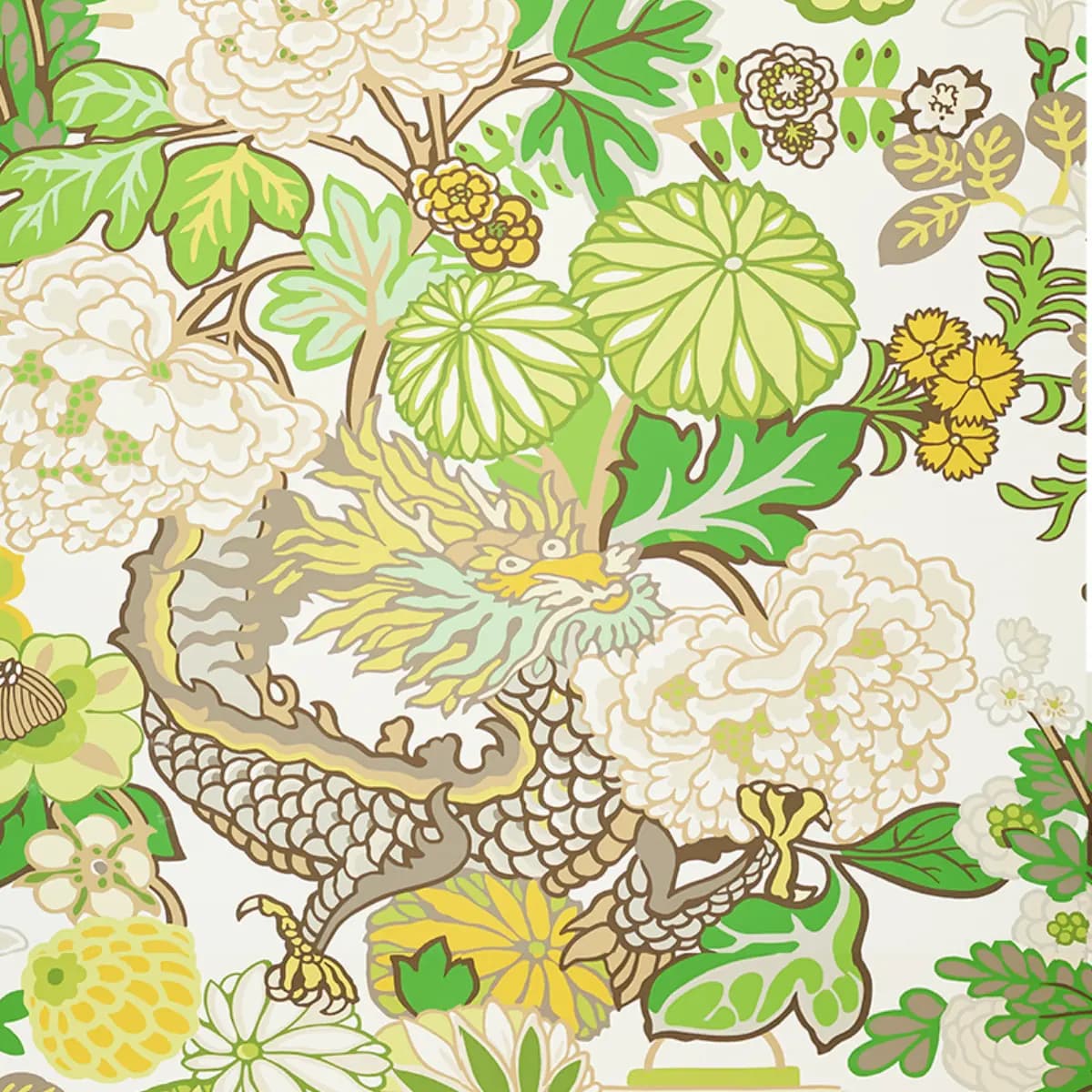 CHIANG MAI DRAGON_ LEAF
