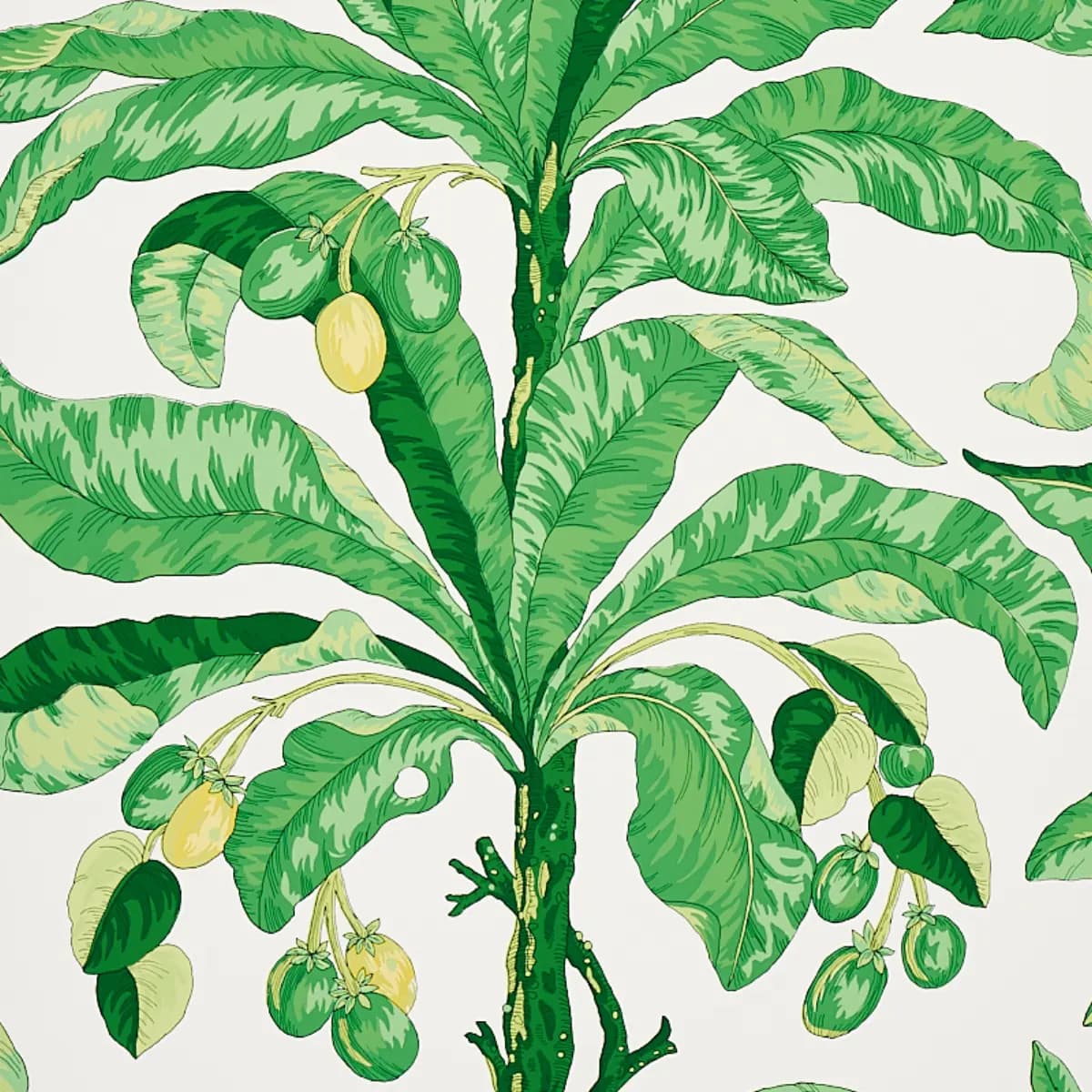 BLAIR HOUSE PALM_ GREEN