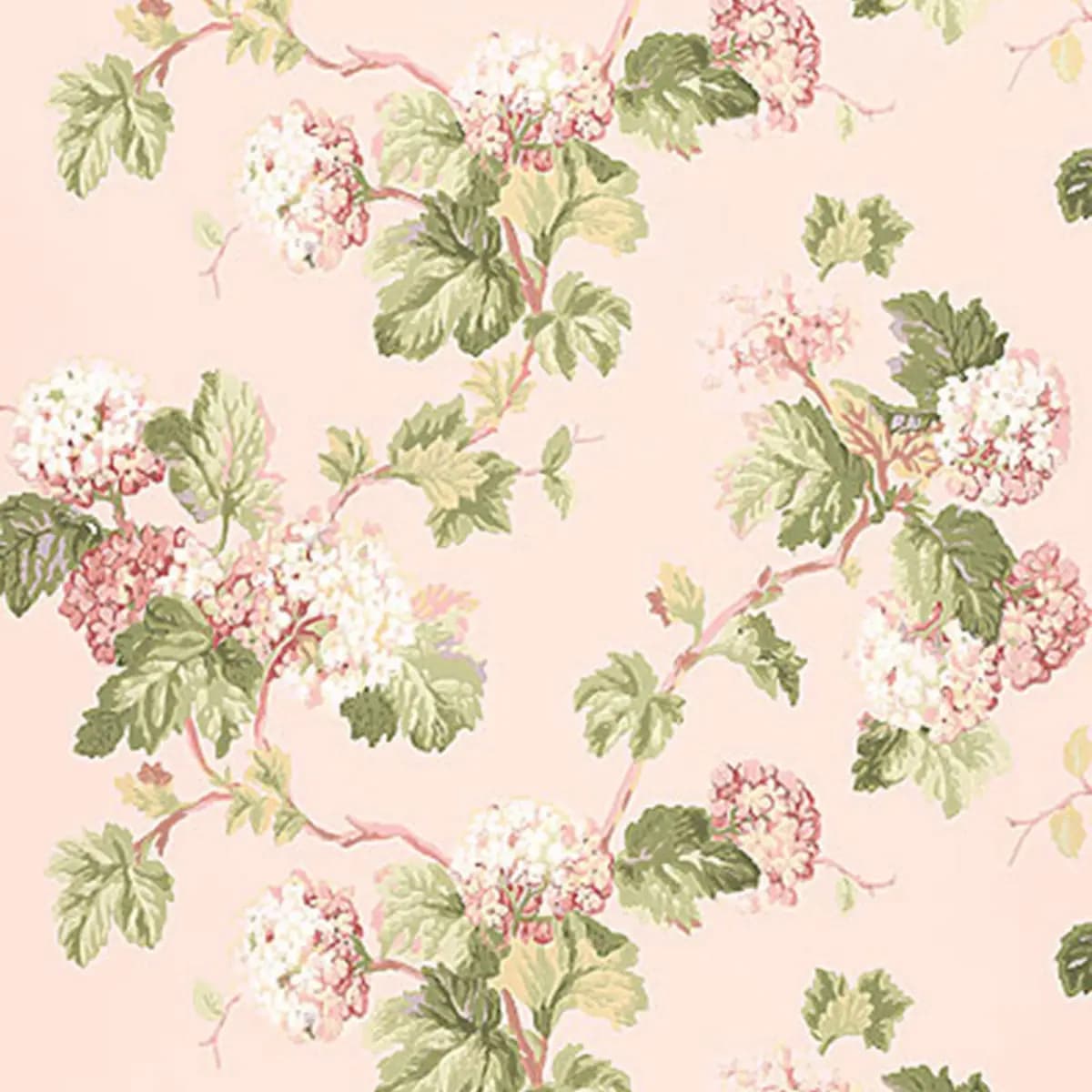 VIBURNUM_ BLUSH