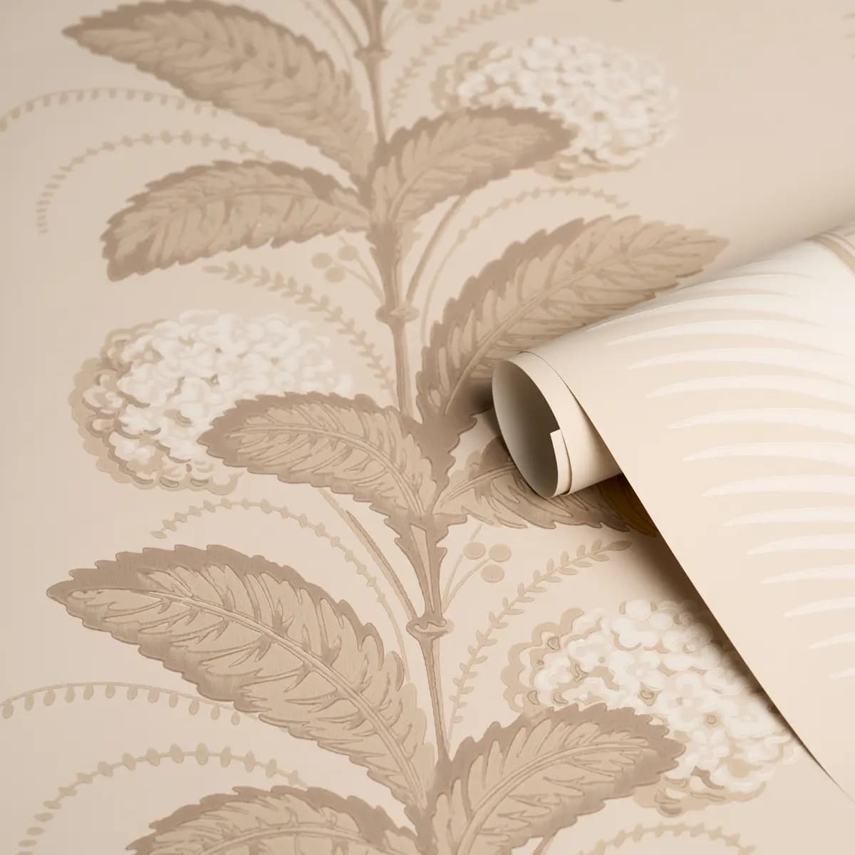 HYDRANGEA DRAPE_ FAWN