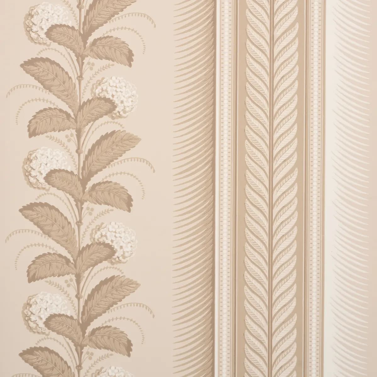 HYDRANGEA DRAPE_ FAWN