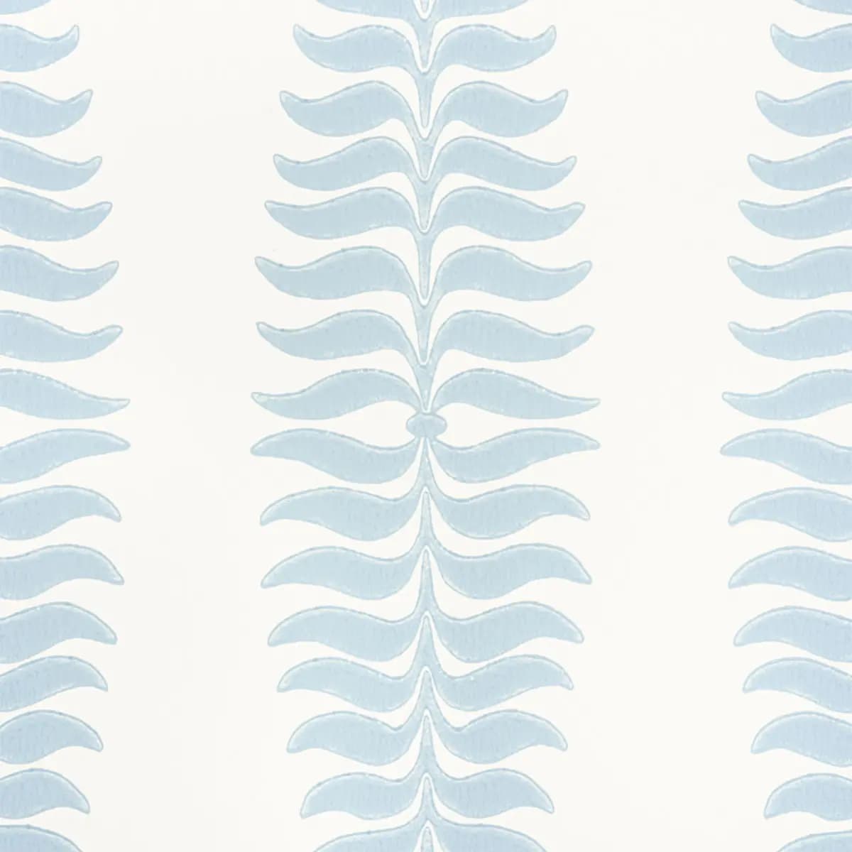 FERN TREE_ SKY
