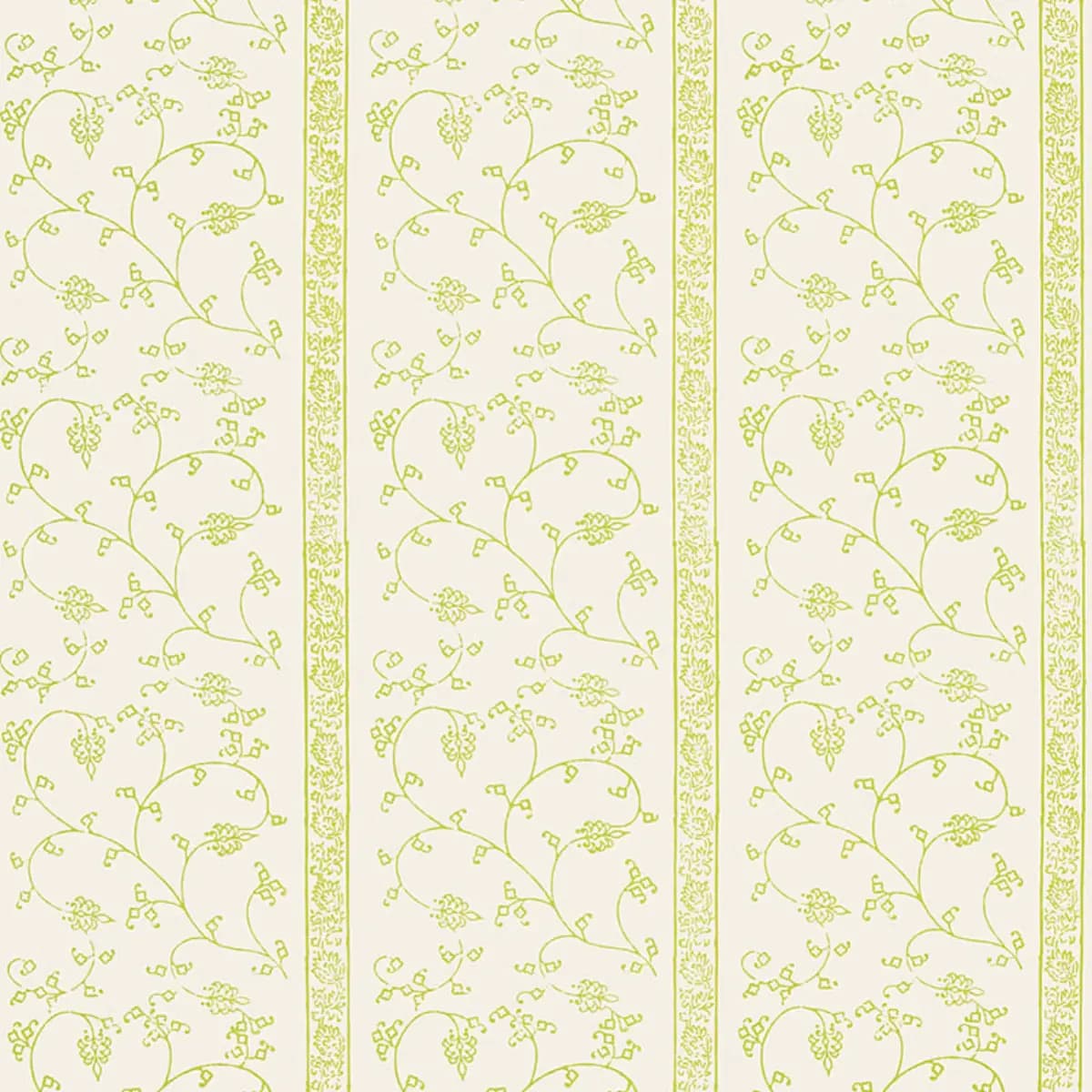 Khanpur Vine_ PEAR