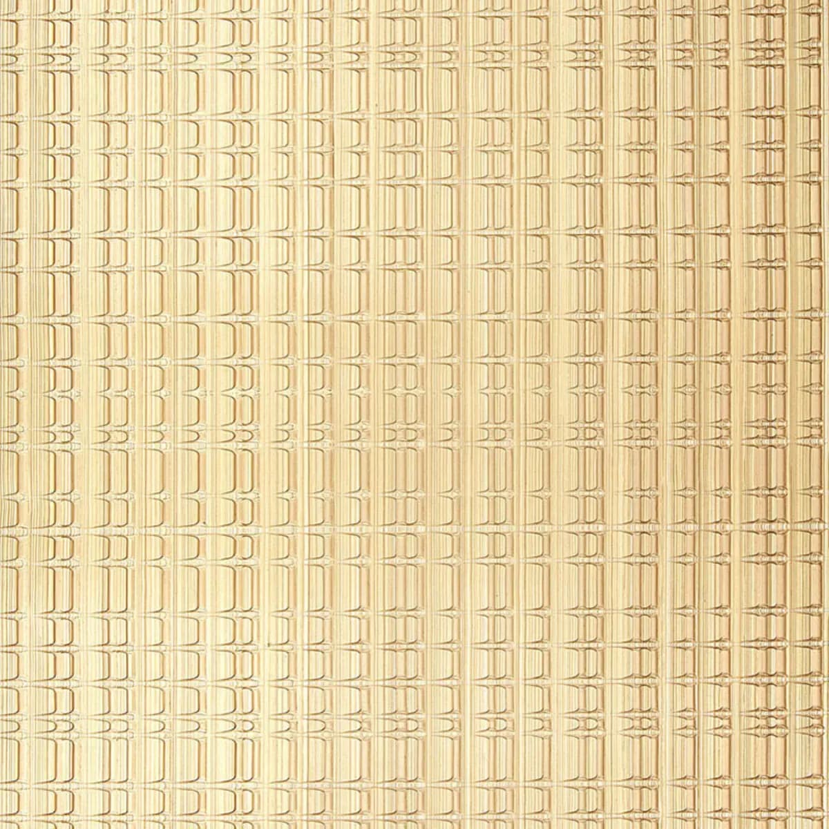 URBAN STRIPE_ CHAMPAGNE