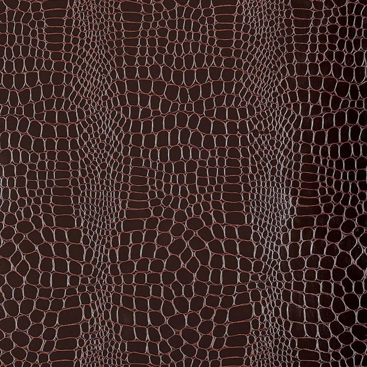 Crocodile_ JAVA