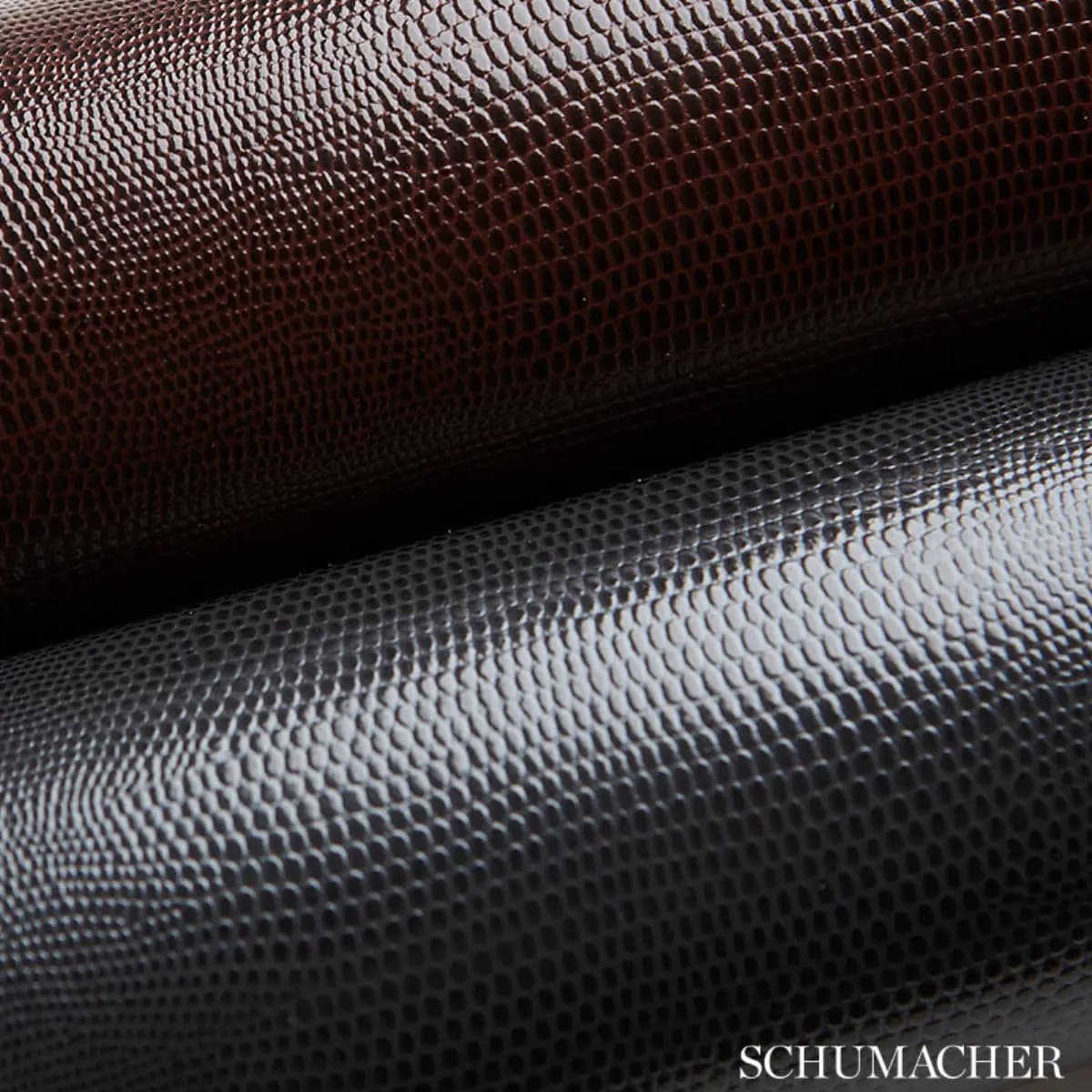 Lizard_ CARBON