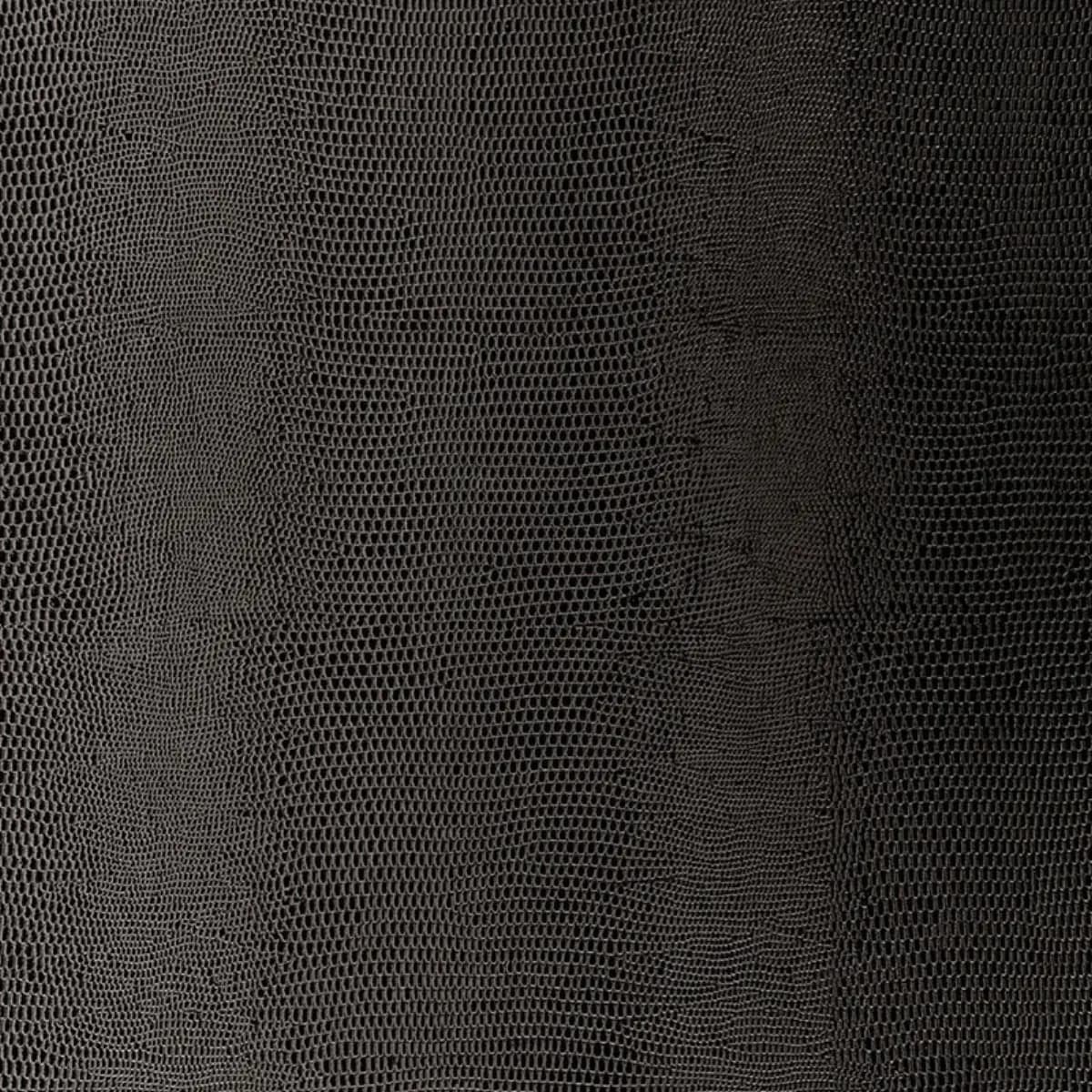 Lizard_ CARBON