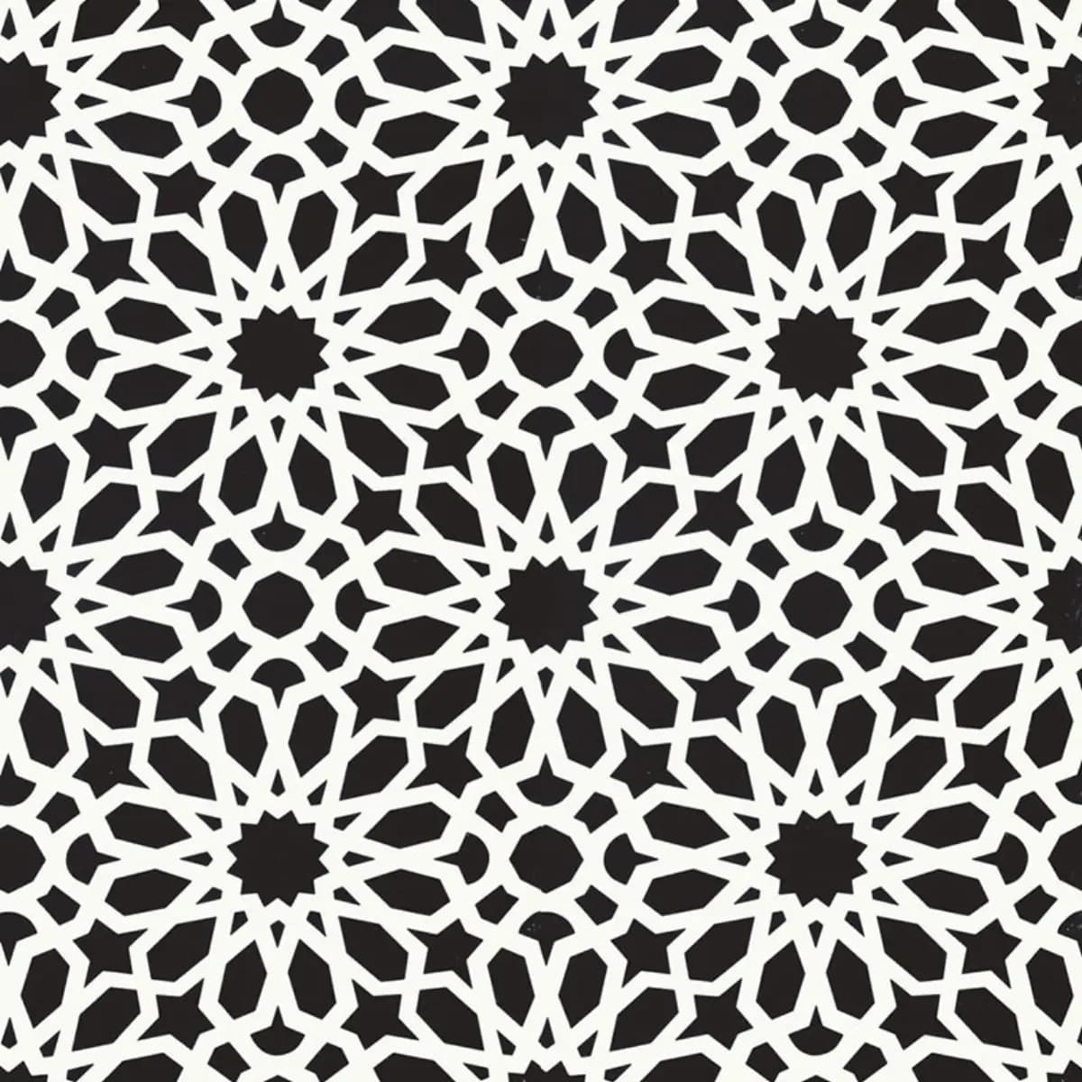 AGADIR SCREEN_ NOIR