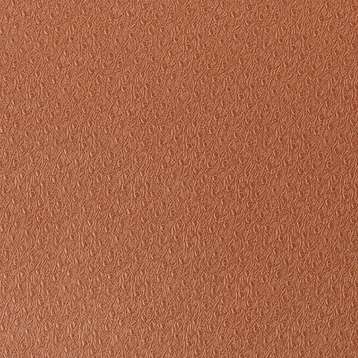 Ostrich_ GINGER