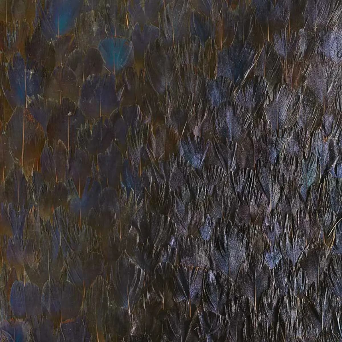 SAPPHIRE_ BRONZE VIOLET