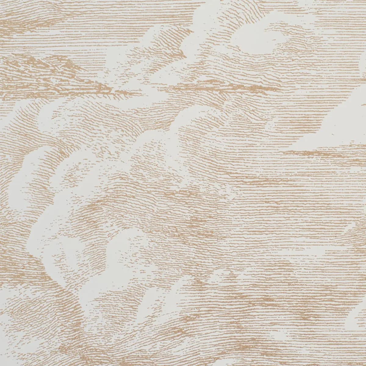 CLOUD TOILE_ GOLD