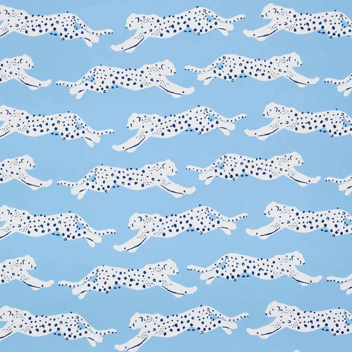 LEAPING LEOPARDS_ SKY
