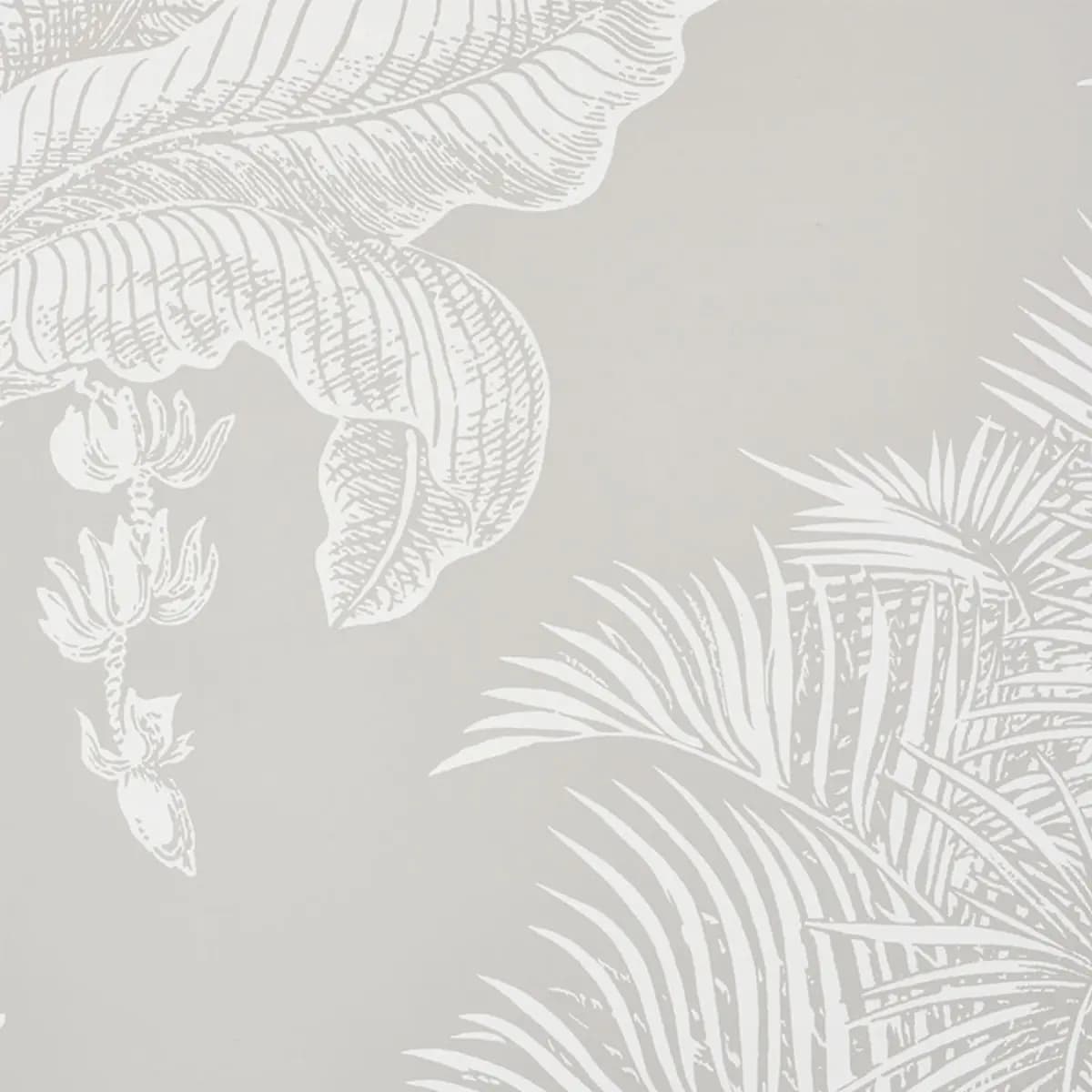 GRAND PALMS_ DOVE
