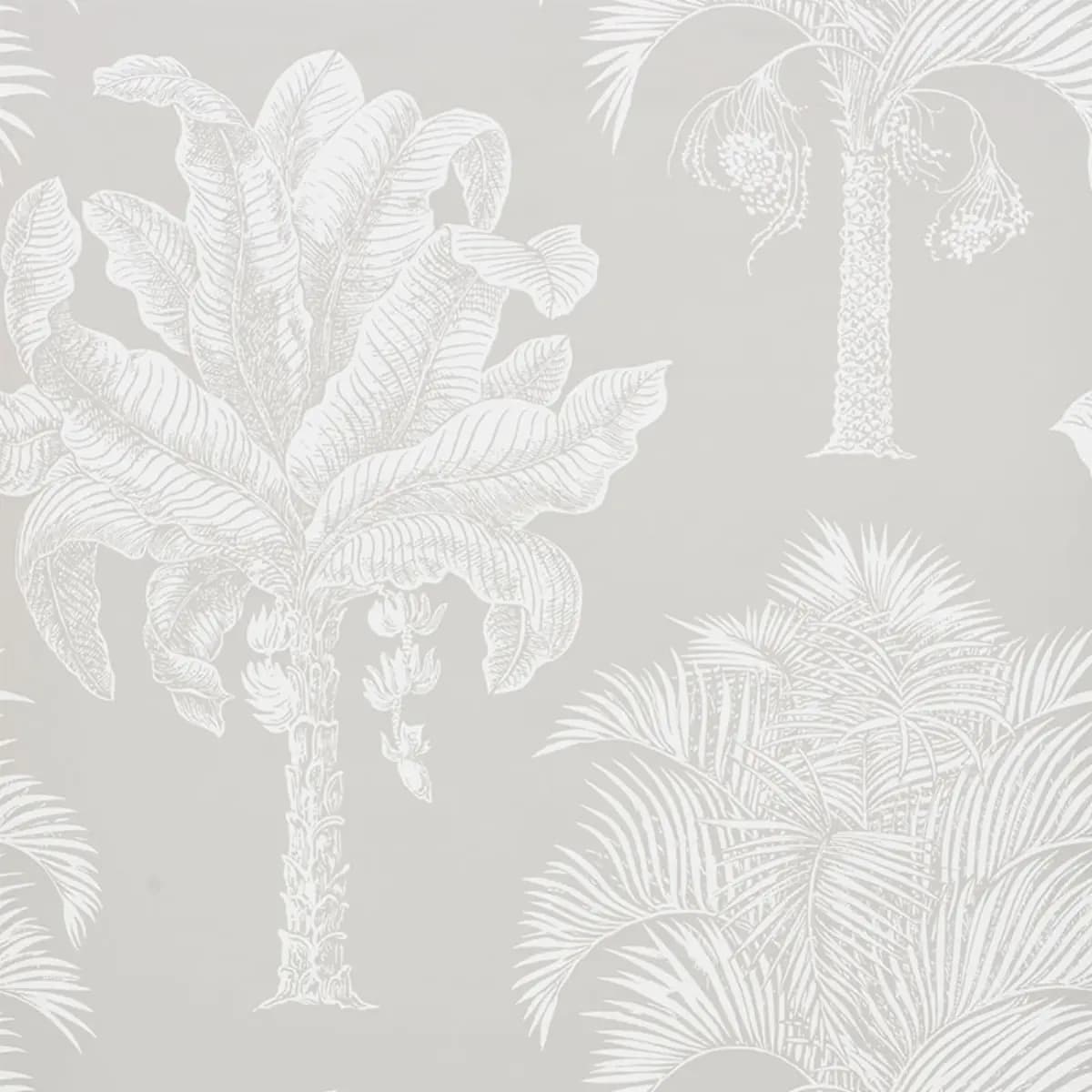 GRAND PALMS_ DOVE