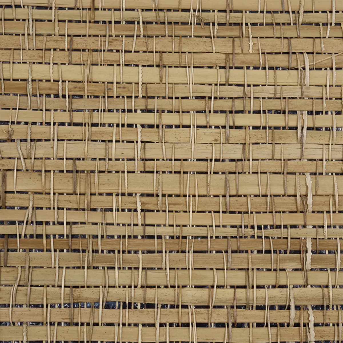 PALM WEAVE_ NATURAL
