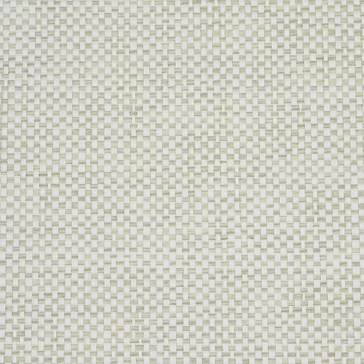 TONAL PAPERWEAVE_ SAGE