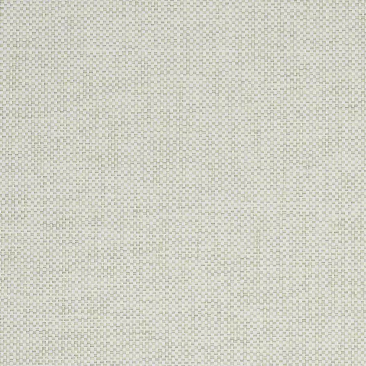 TONAL PAPERWEAVE_ SAGE