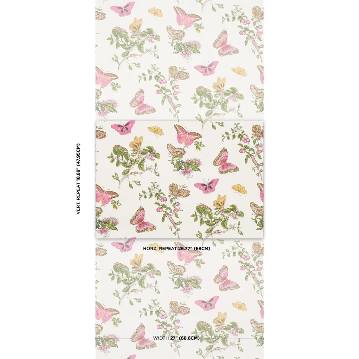 BAUDIN BUTTERFLY_ BLUSH