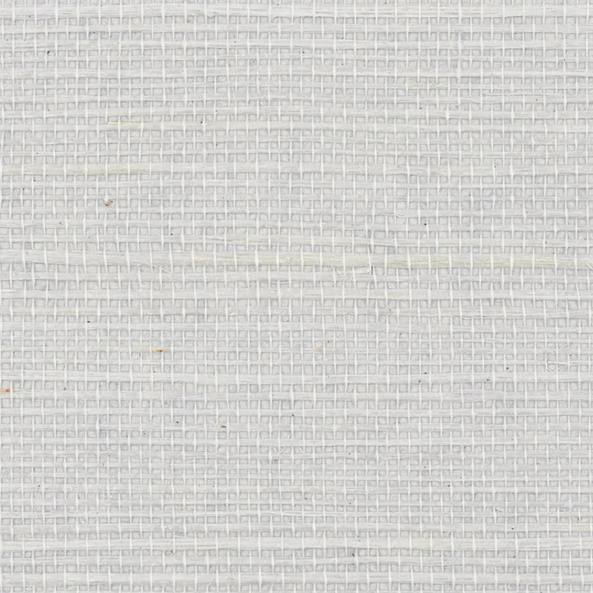 HARUKI SISAL_ CLOUD