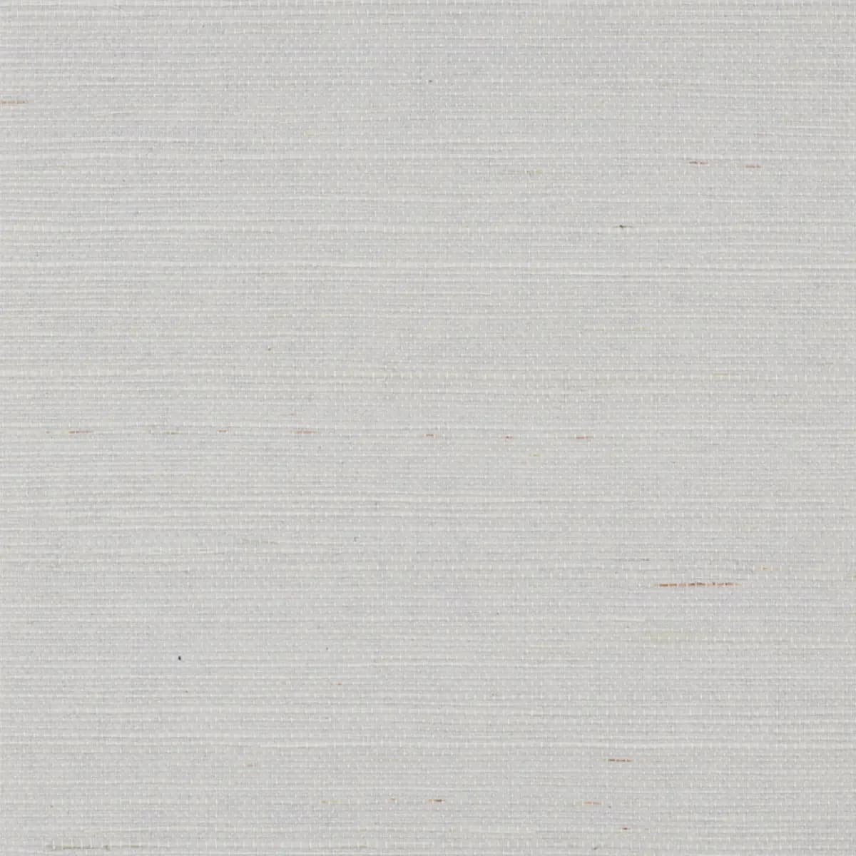 HARUKI SISAL_ CLOUD