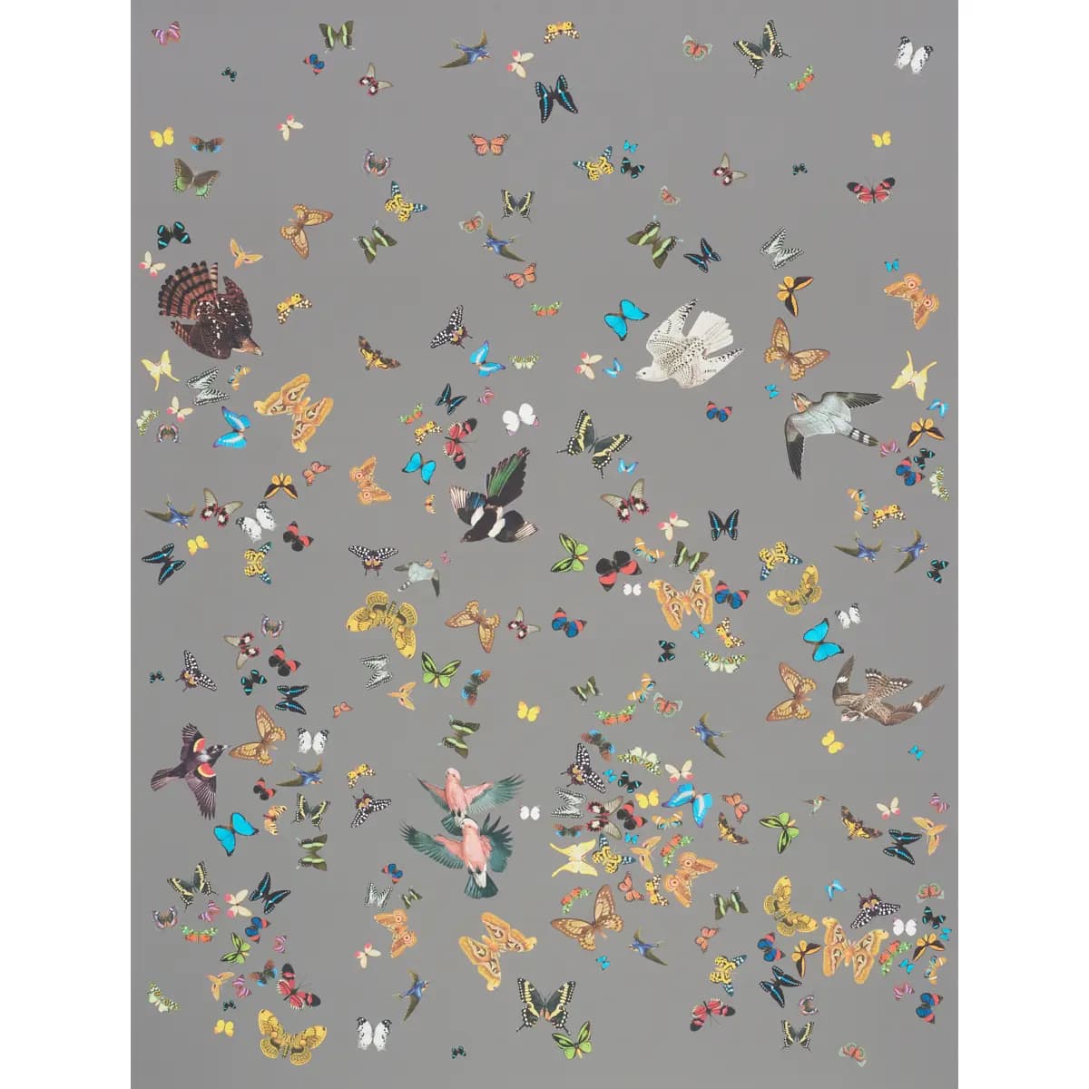 QUEEN'S FLIGHT PANEL SET_ GREY