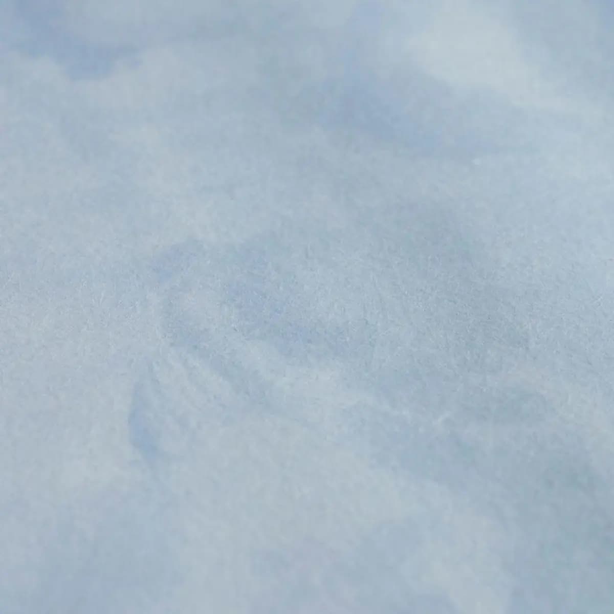 KOBAI PANEL_ MINERAL
