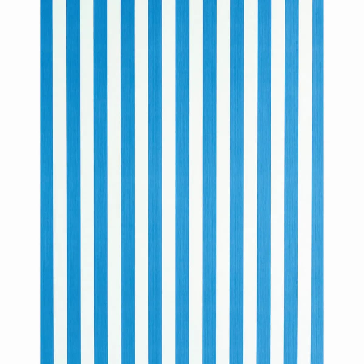 EDWIN STRIPE MEDIUM_ COBALT