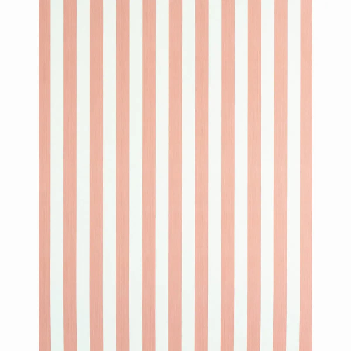 EDWIN STRIPE MEDIUM_ PINK