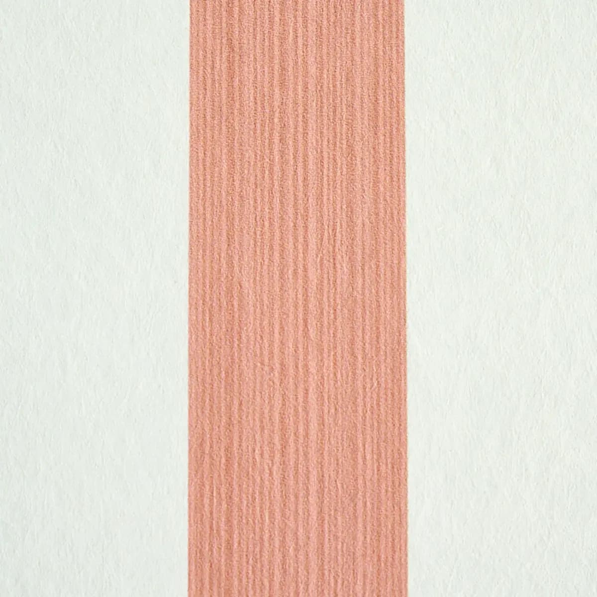 EDWIN STRIPE MEDIUM_ PINK