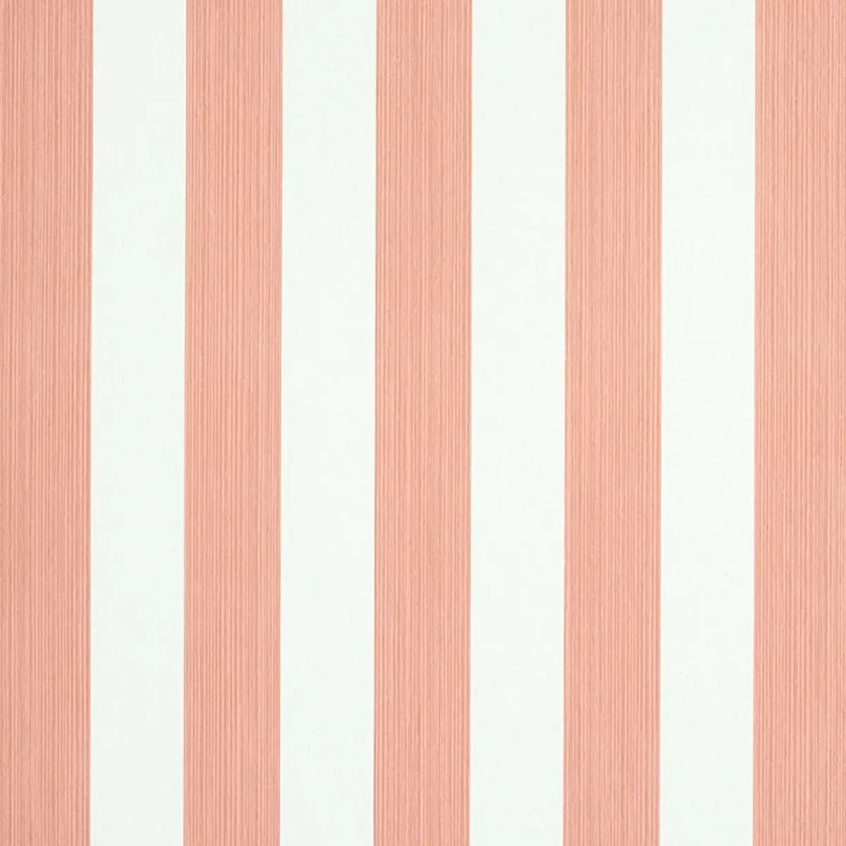 EDWIN STRIPE MEDIUM_ PINK